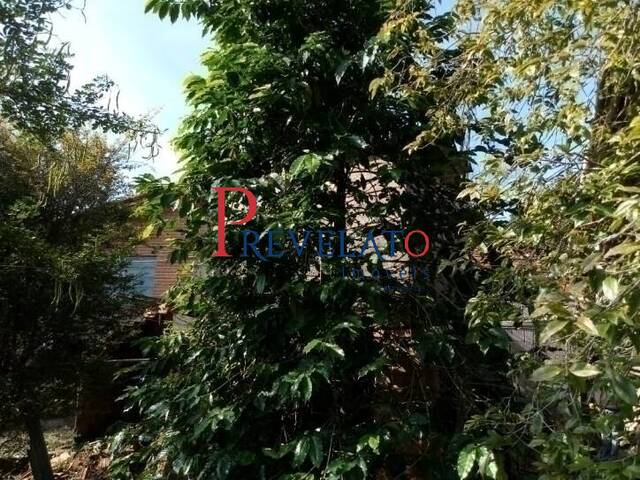 Chácara para Venda em São Bernardo do Campo - 5