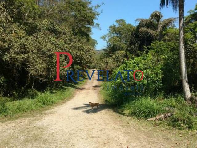 Chácara para Venda em São Bernardo do Campo - 4