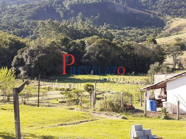 Venda em Área Rural de Bragança Paulista - Bragança Paulista