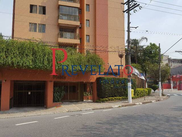 Apartamento para Locação em Santo André - 4